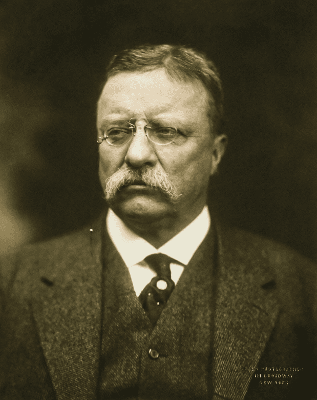 Portrait of Teddy Roosevelt